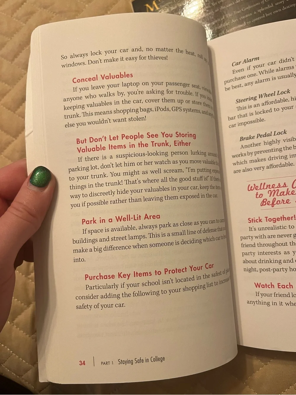book bundle - college books and the secret school